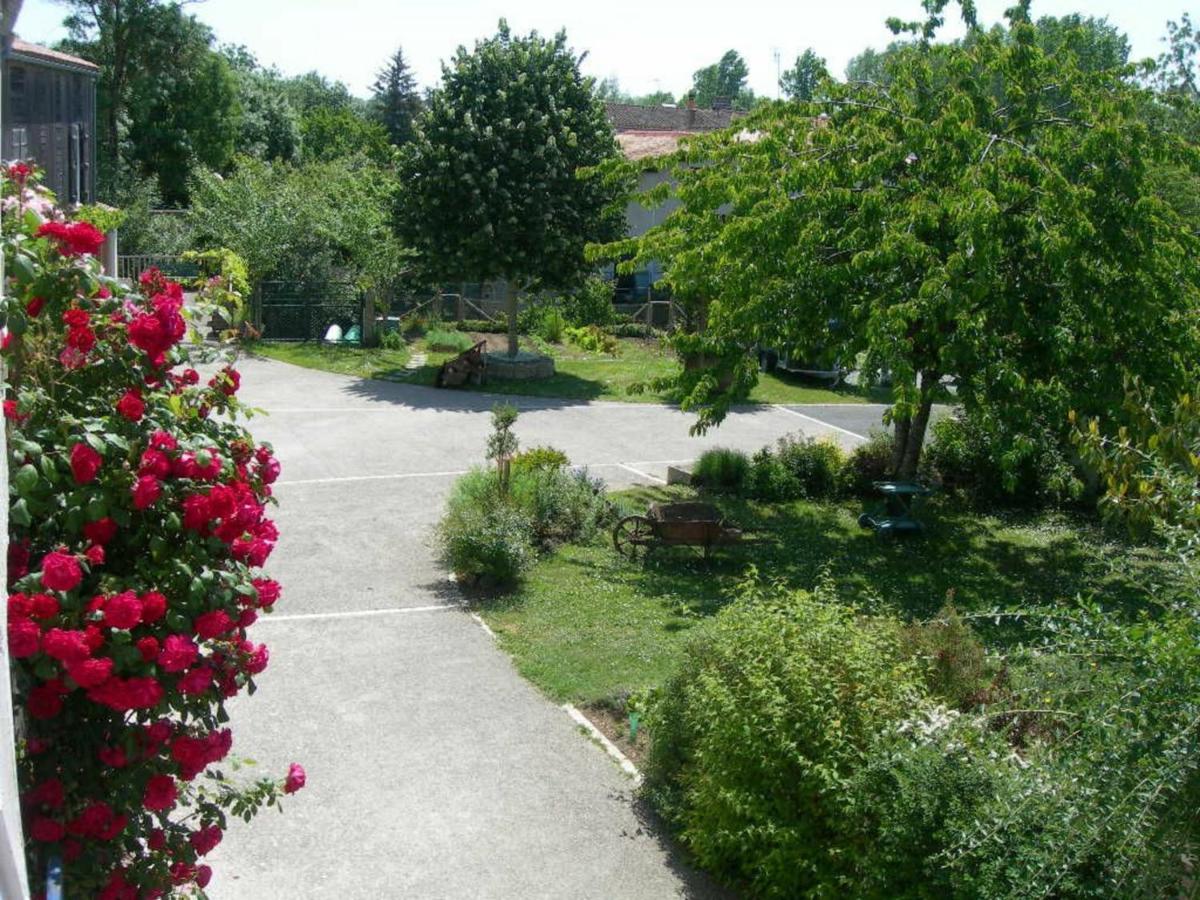 Gite Charmant Au Bord De L'Eau Avec Canoes, Terrasse Et Jardin A Damvix, Au Coeur Du Marais Poitevin. - Fr-1-426-354 Villa Ngoại thất bức ảnh